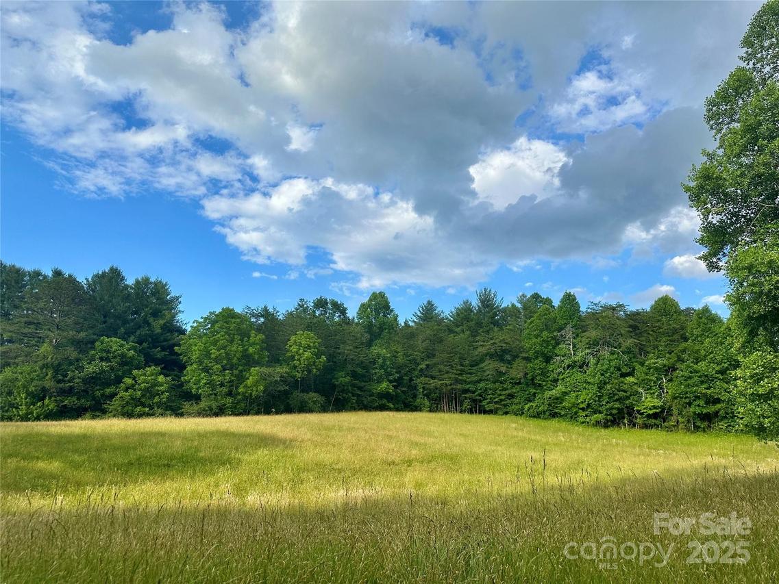 99999 Jenkins Valley Rd., Alexander, NC 28701
