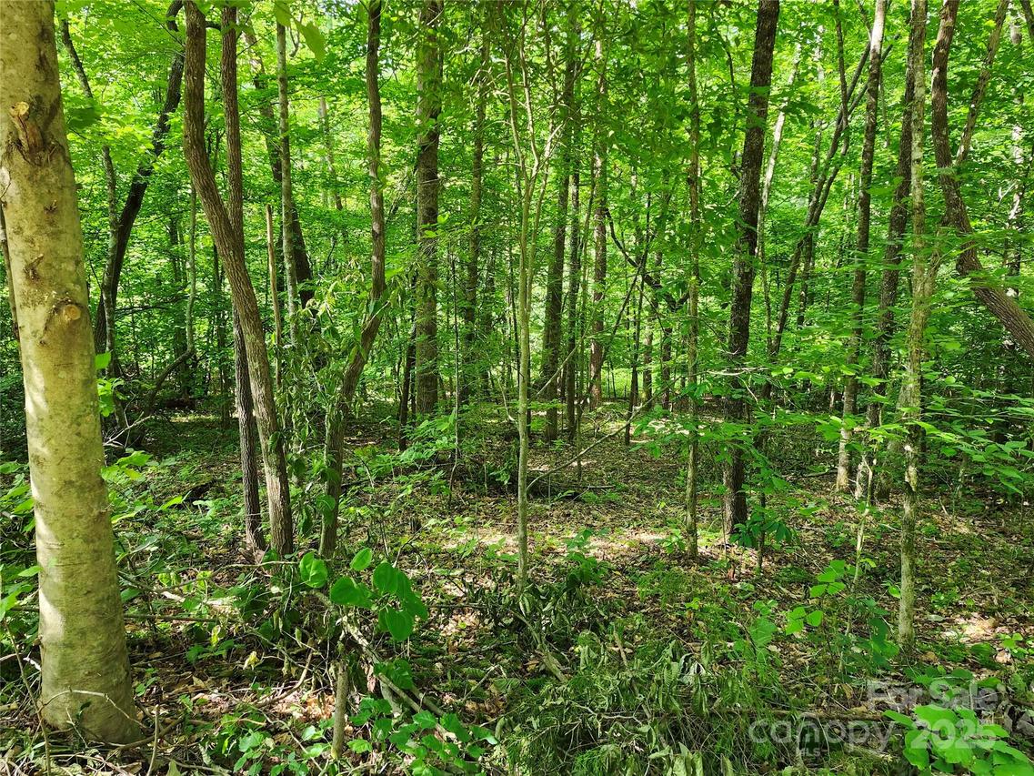 0000 Hayes Rd. #67, Columbus, NC 28722