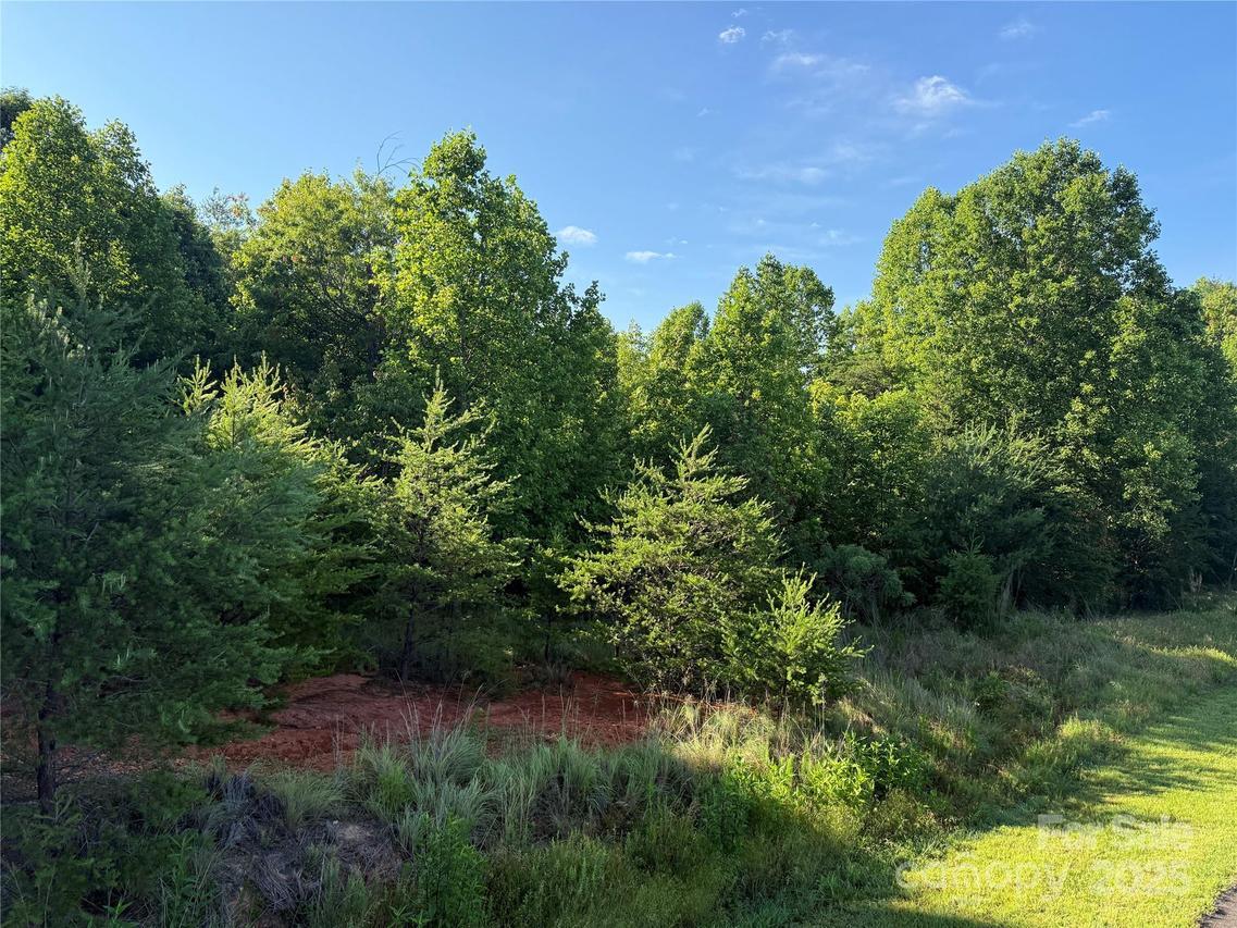 Lake Crest Dr. #35, Nebo, NC 28761