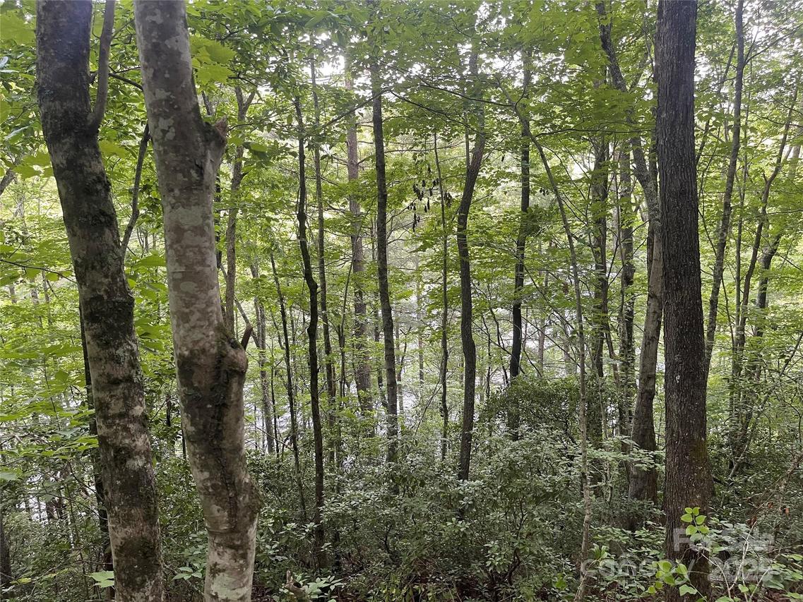 2642 Canada Rd., Tuckasegee, NC 28783