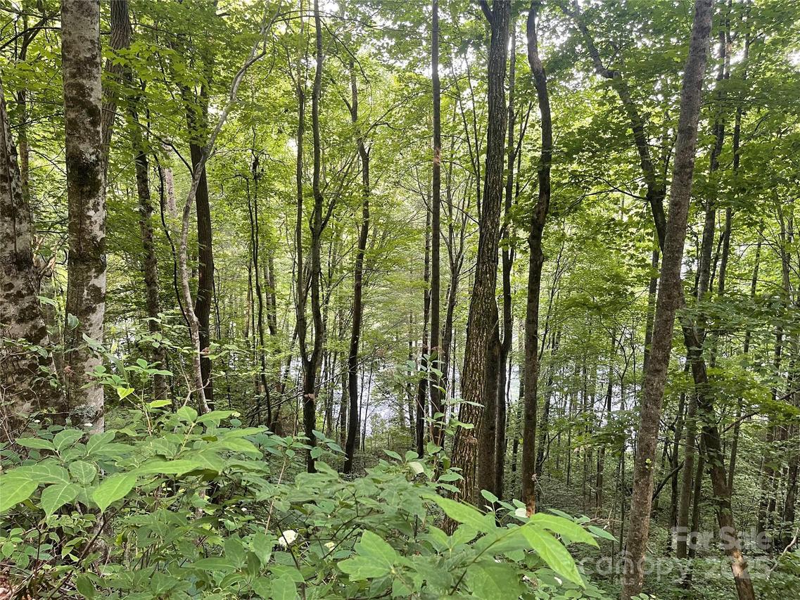 200 Sweet Birch Ln., Tuckasegee, NC 28783