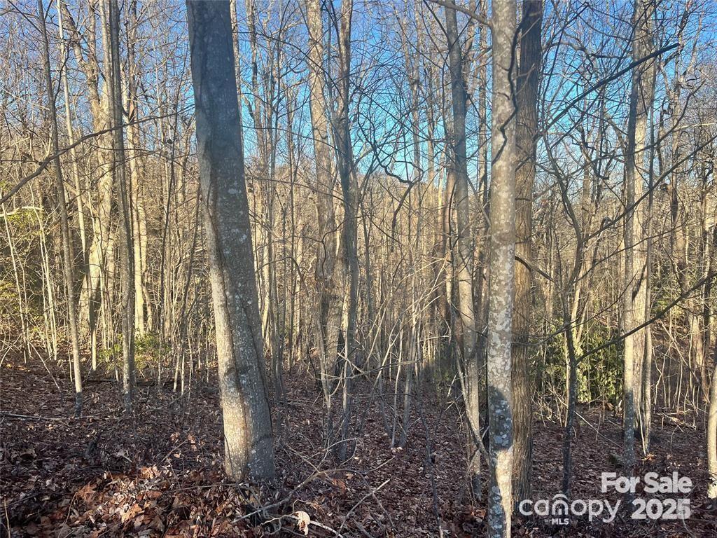 129 Pinnacle Peak Ln., Flat Rock, NC 28731