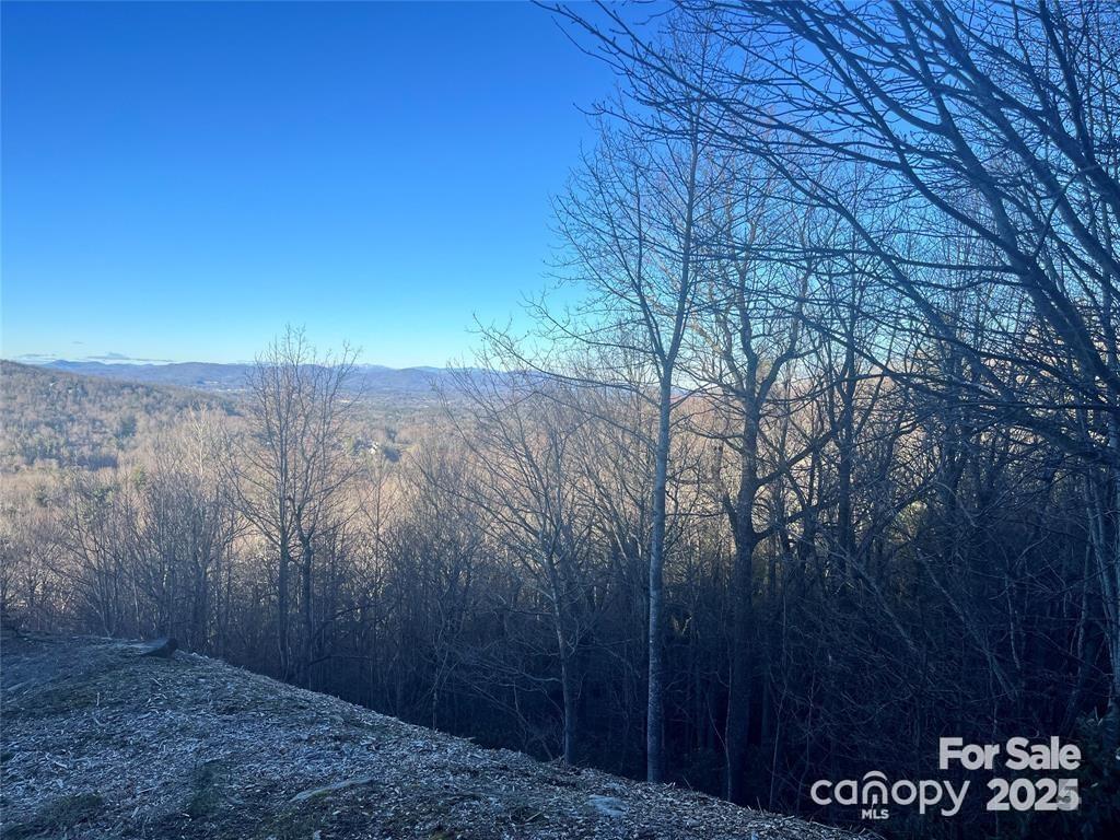 000 Roxworth Ct., Flat Rock, NC 28731