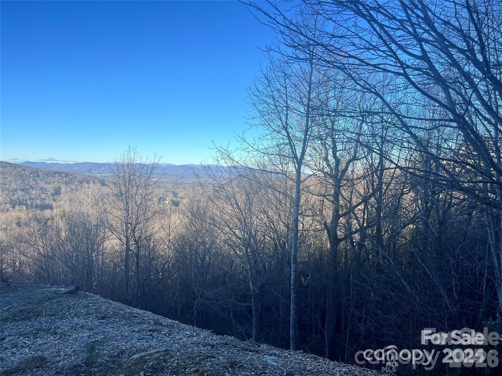 000 Roxworth Ct., Flat Rock, NC 28731
