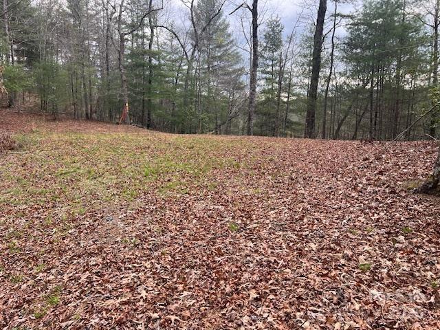 2035 Lower Tuskeegee Rd., Robbinsville, NC 28771