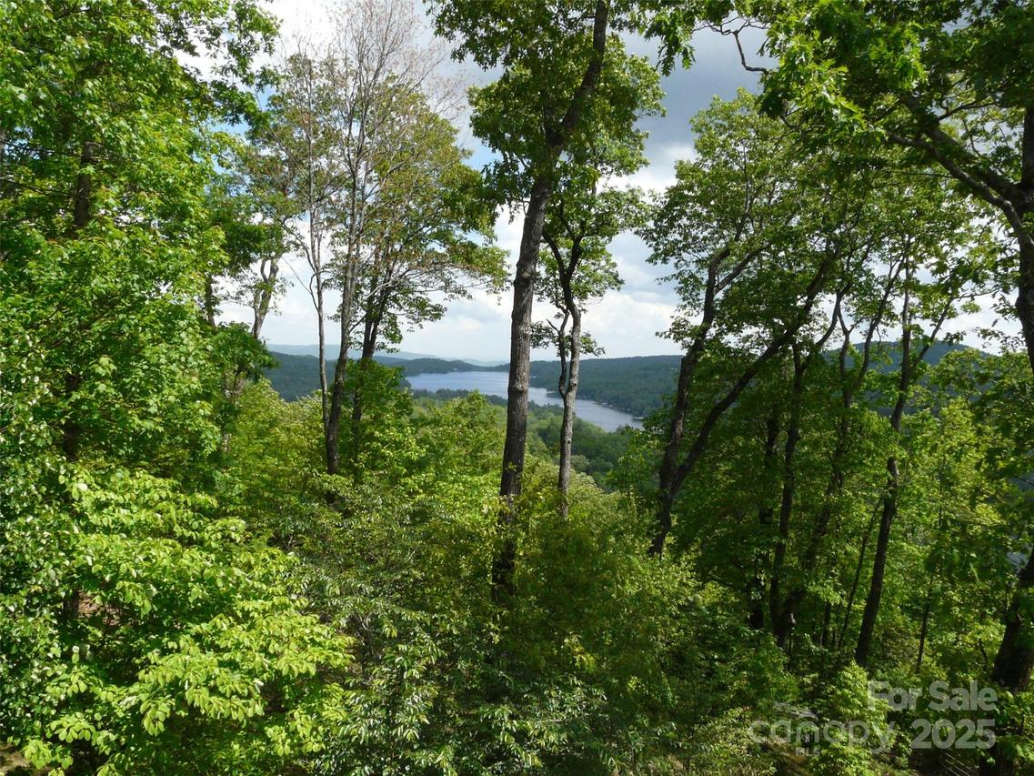 PR 22R Panther Ridge Rd., Lake Toxaway, NC 28747