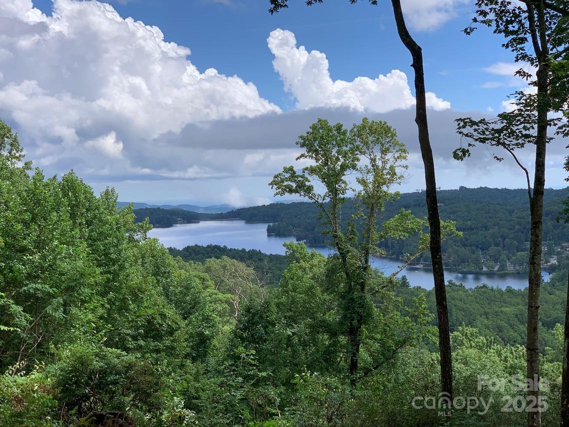 PR 22R Panther Ridge Rd., Lake Toxaway, NC 28747