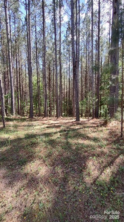 105 Cranberry Ln. #80, Mooresboro, NC 28114