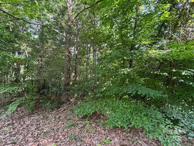00 Hilltop Dr. #13, Statesville, NC 28625