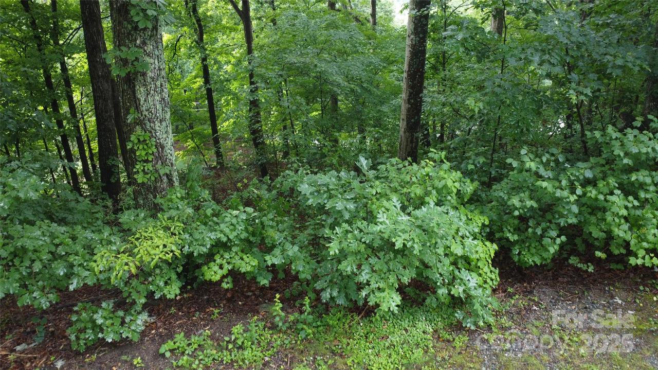 #46 Hemlock Tr., Columbus, NC 28722