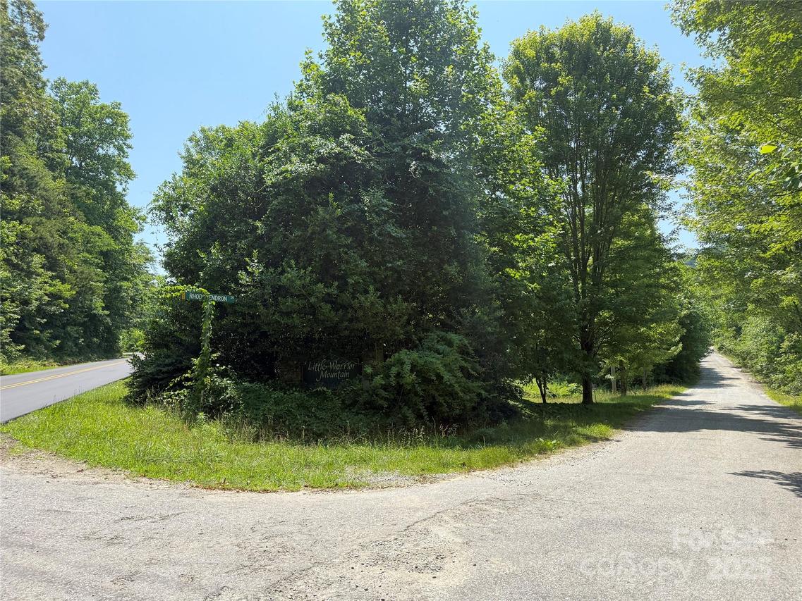 LOT 13 Rhododendron Dr. #13, Saluda, NC 28773