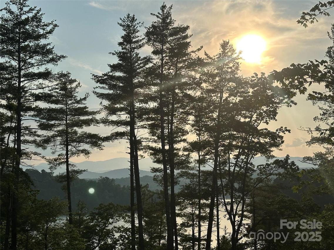 385 Dockside Dr., Nebo, NC 28761