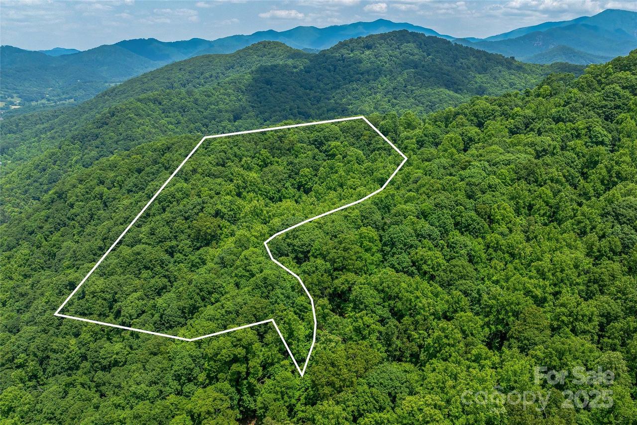 99999 Countryside Estate, Barnardsville, NC 28709