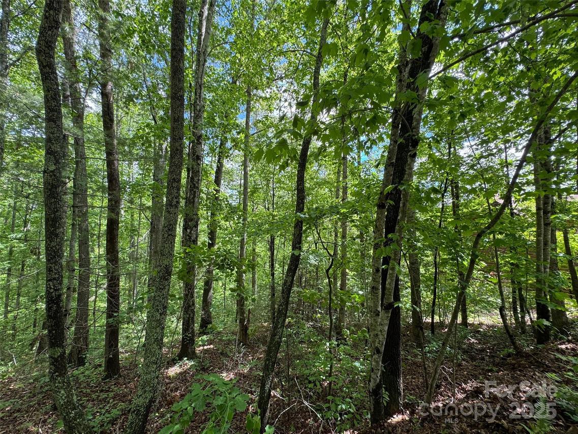 99999 Morning Star Dr. #Lot 13, Leicester, NC 28748