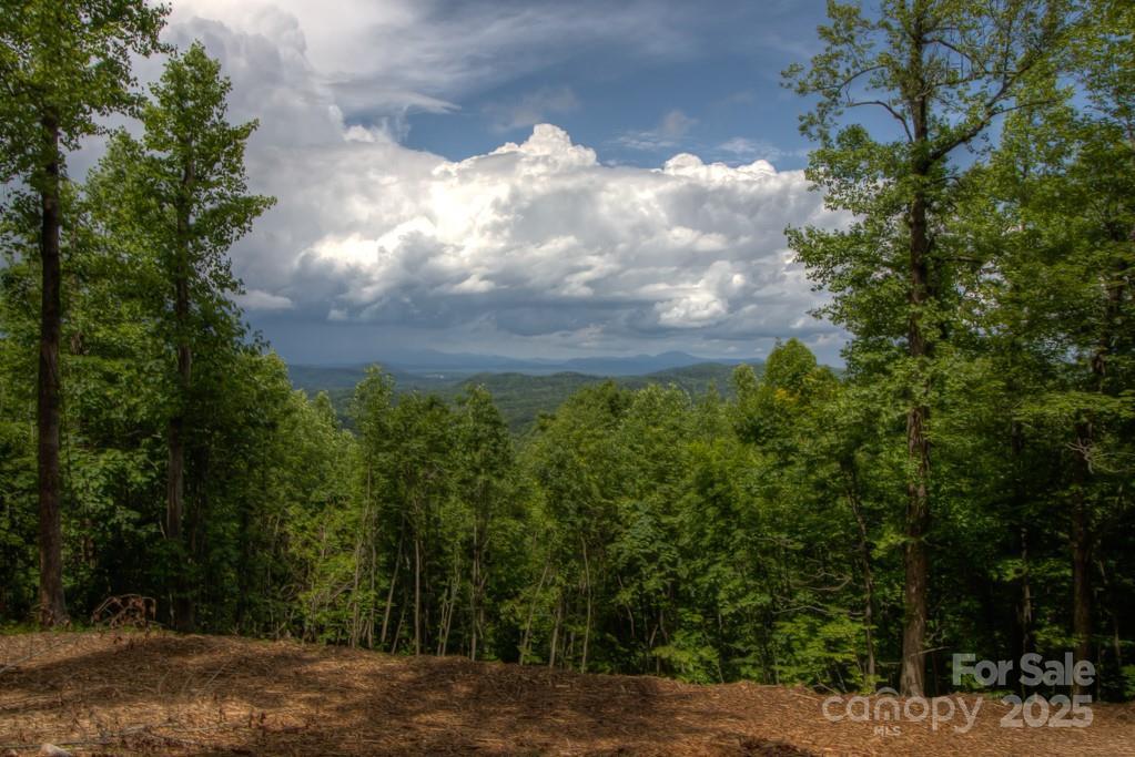 436 Bella Vista Ct., Zirconia, NC 28790