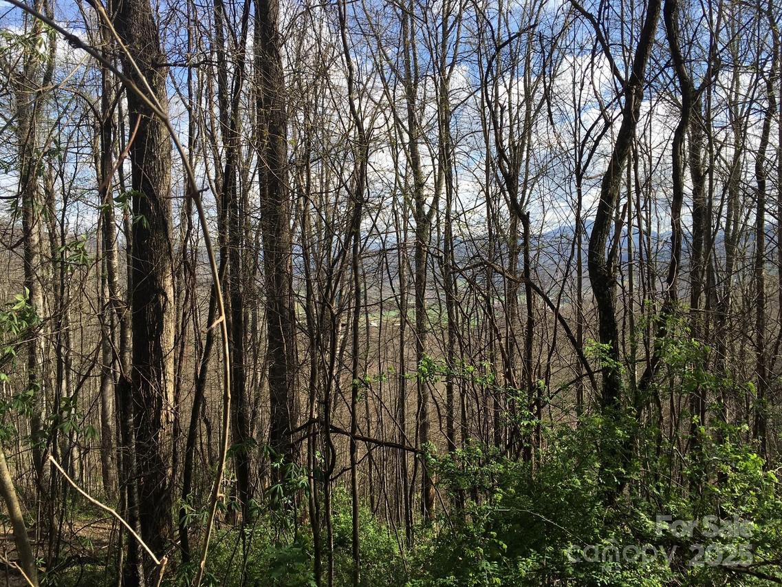 Kitty Ln., Waynesville, NC 28785