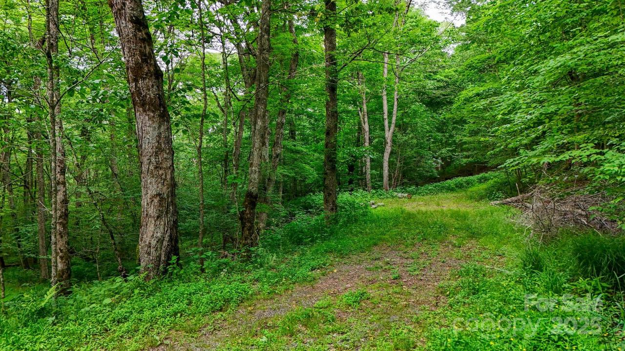 233 Woodland Springs Tr. #14, Boone, NC 28607