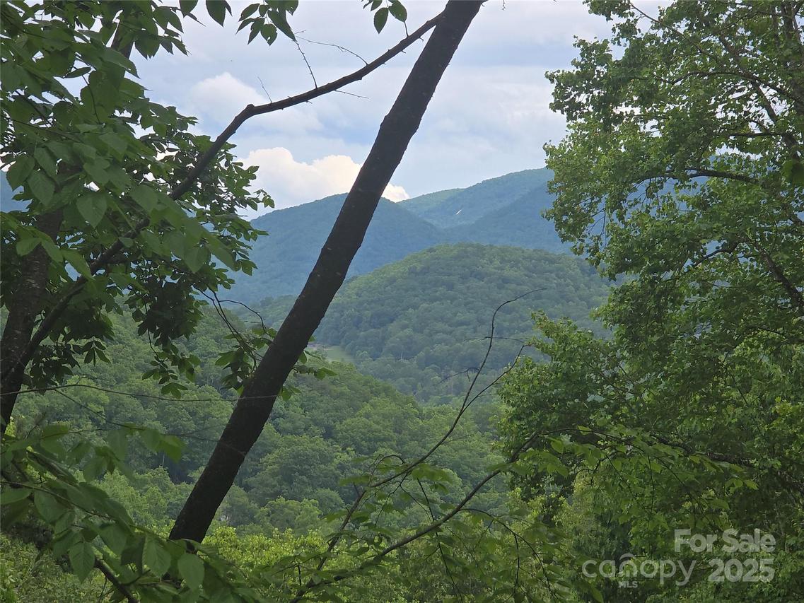 89 Weeping Cherry Forest Rd., Fairview, NC 28730