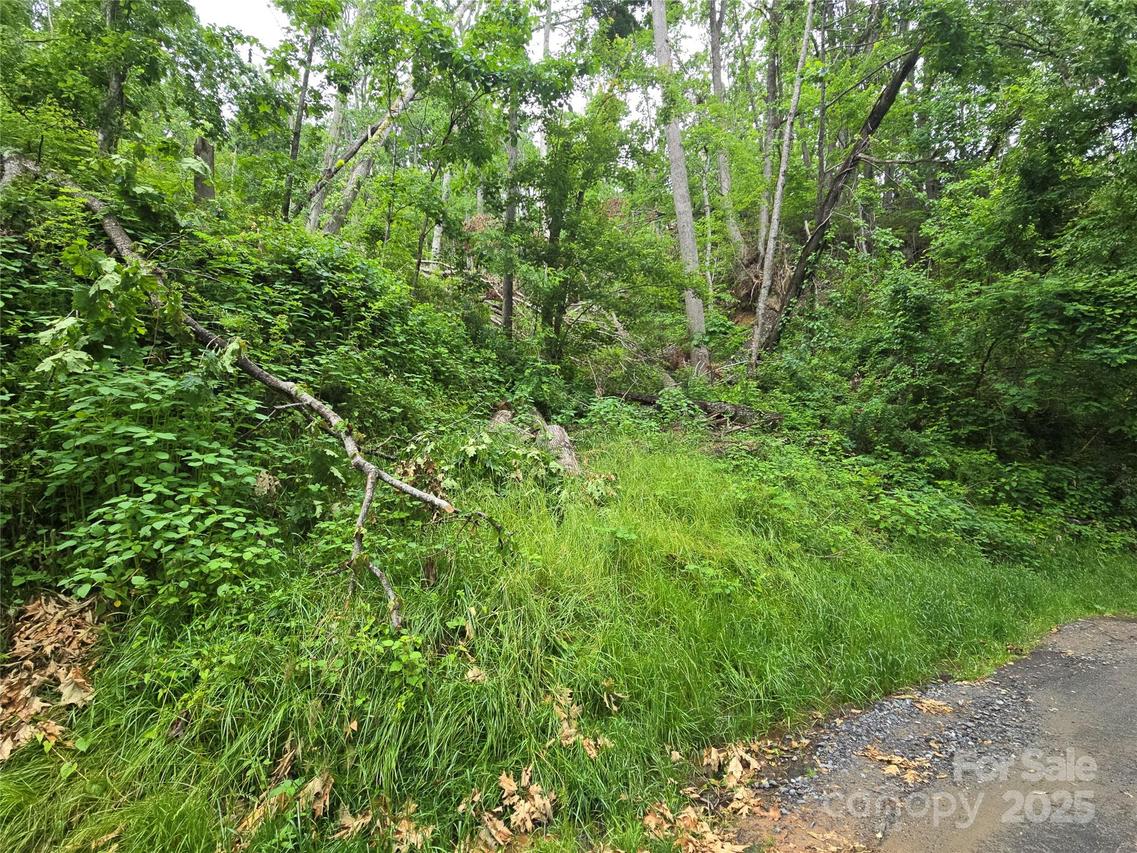 89 Weeping Cherry Forest Rd., Fairview, NC 28730