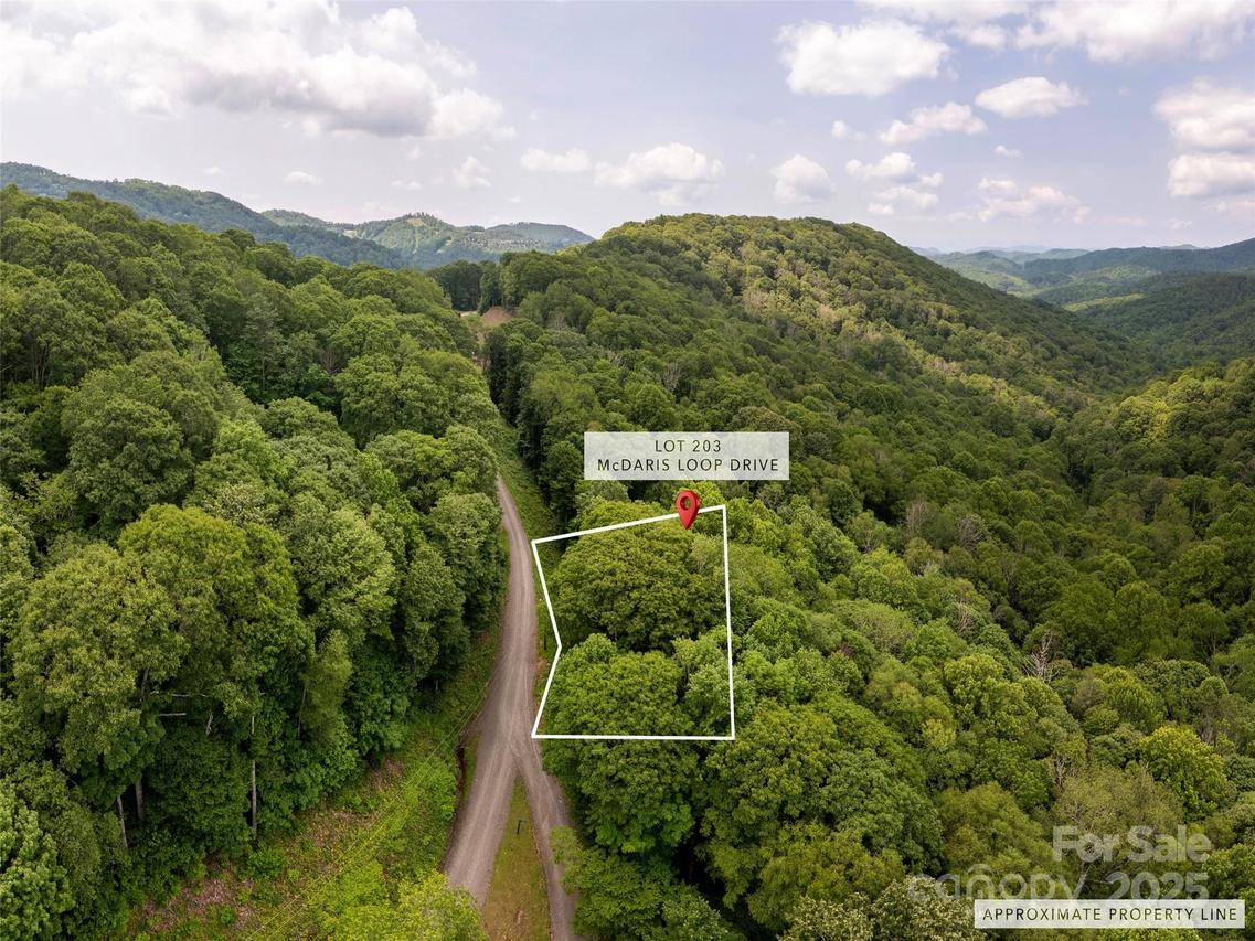 000 Mcdaris Loop Dr. #203, Mars Hill, NC 28754