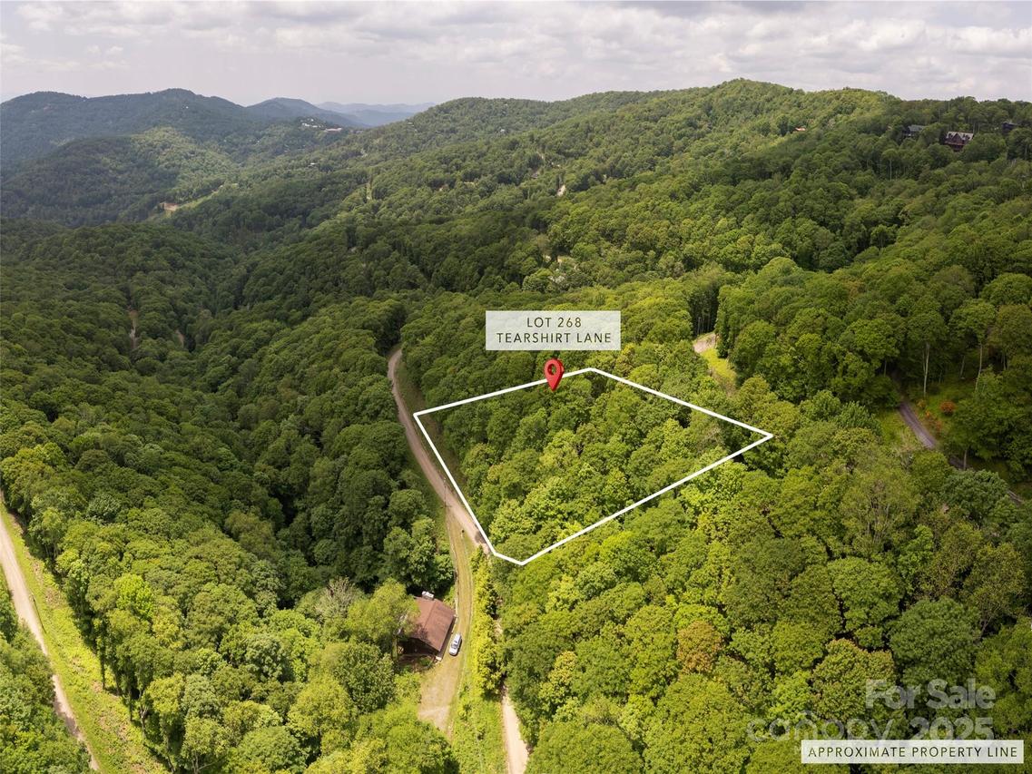 000 Tearshirt Ln. #268, Mars Hill, NC 28754
