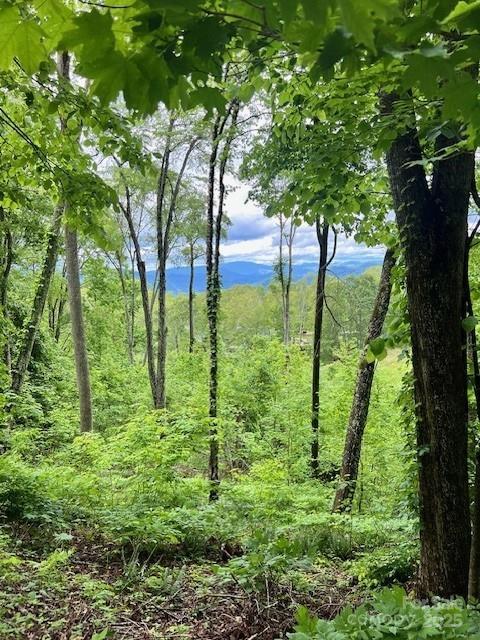Lot 81 Ball Camp Rd. #81/1, Burnsville, NC 28714