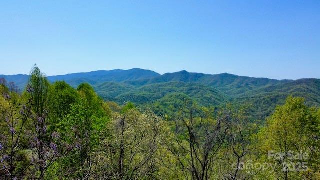 00 Smoky View Dr., Bryson City, NC 28713
