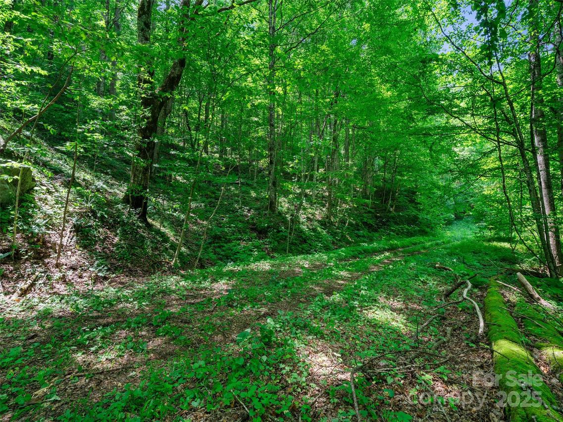 #3 TBD Lotties Creek Rd. #Lots 37, 42, Burnsville, NC 28714