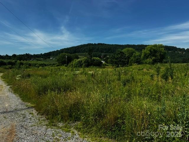527 Laughter Rd. #1, Hendersonville, NC 28792