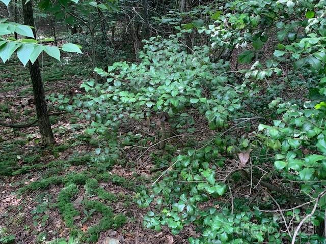 7.67 AC. Holbert Cove Rd., Saluda, NC 28773