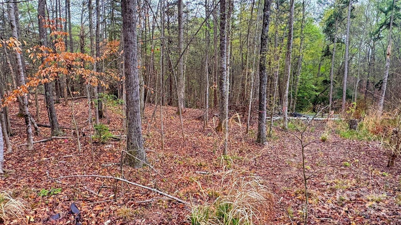 447 Hopewell Church Rd., Catawba, NC 28609