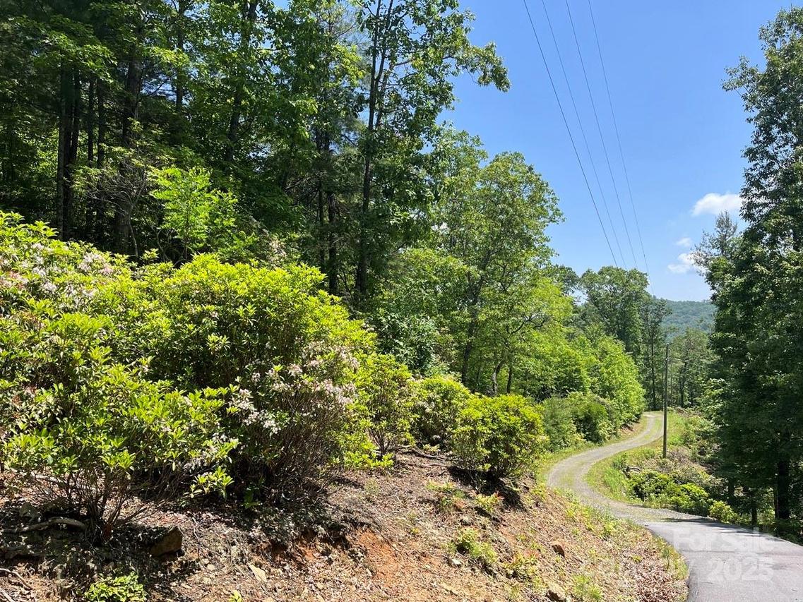 0000 Humpback Mountain Rd., Spruce Pine, NC 28777