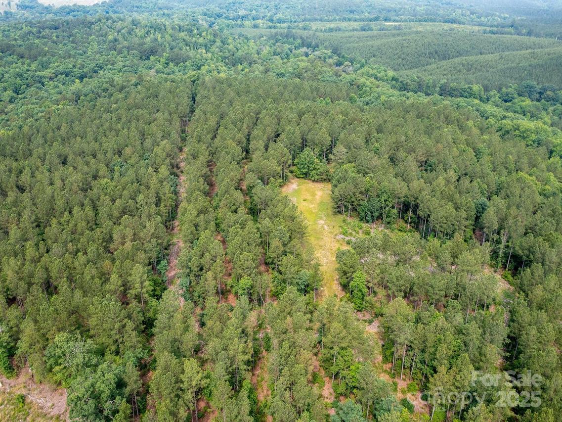 Chip Rd., Mount Gilead, NC 27306