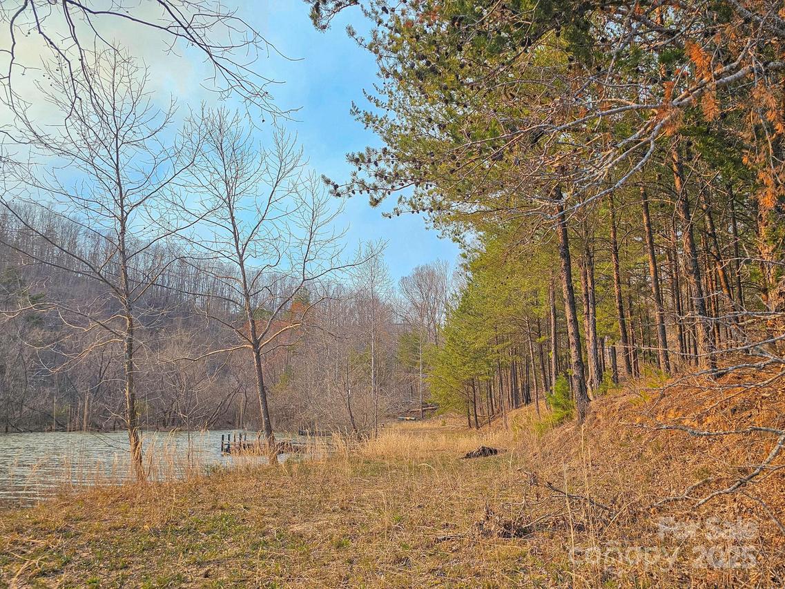 TBD Parkway Rd. #3, Mill Spring, NC 28756