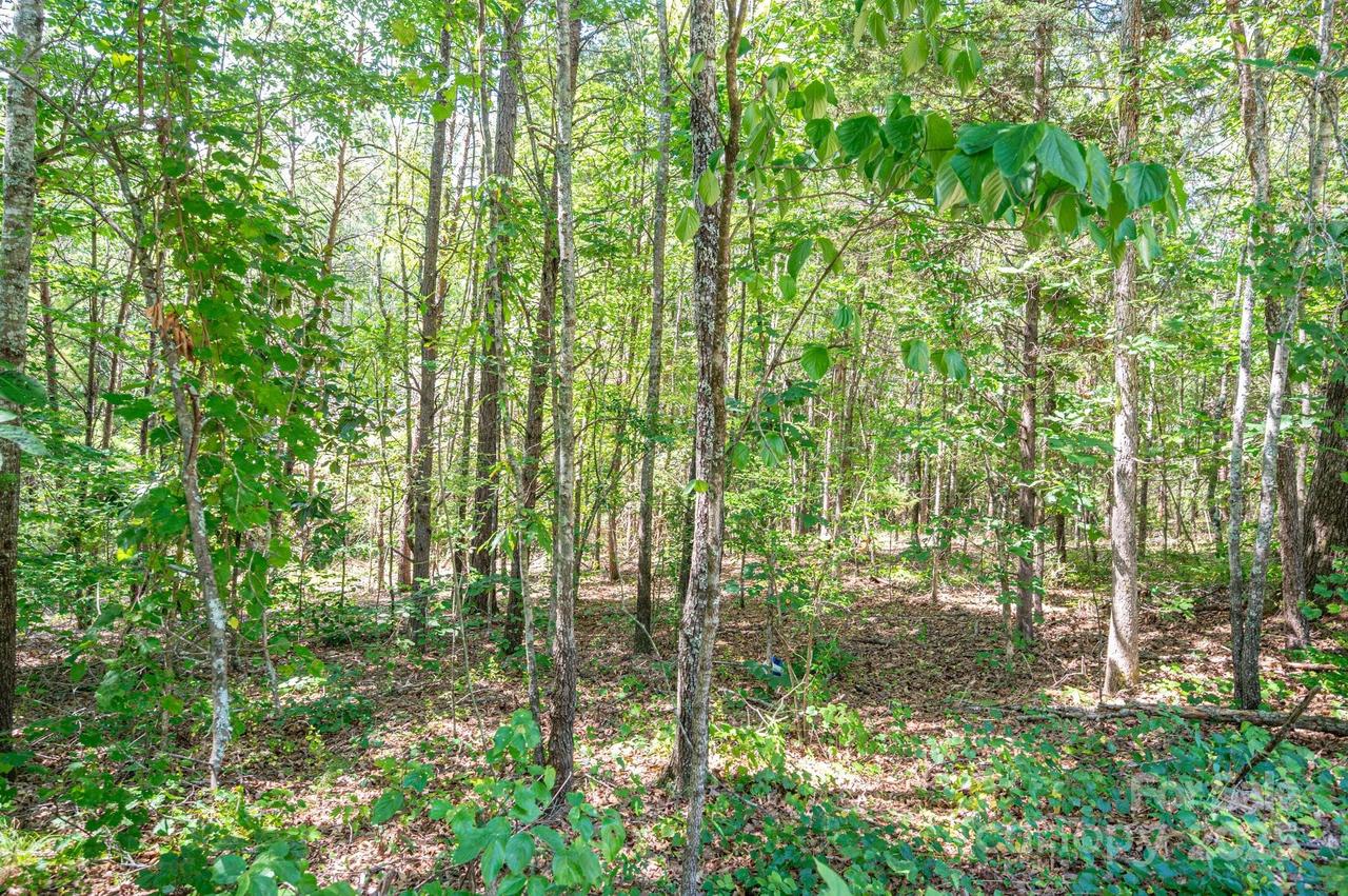 Lot # 16 Meadow Crossing Dr., Rutherfordton, NC 28139