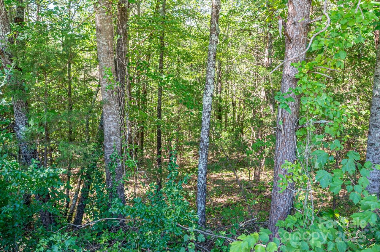 Lot 7 Meadow Crossing Dr., Rutherfordton, NC 28139