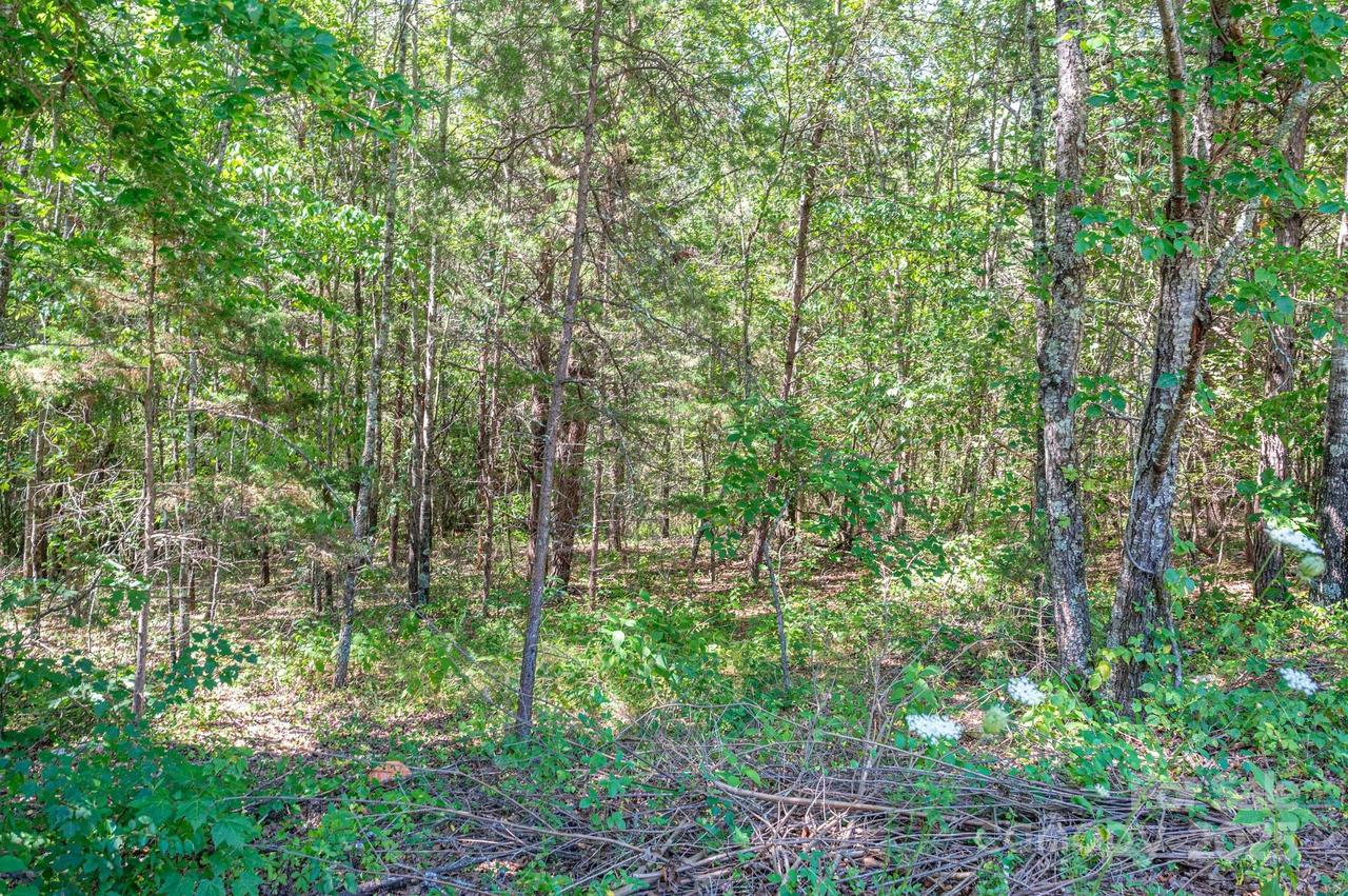 Lot # 15 Meadow Crossing Dr., Rutherfordton, NC 28139