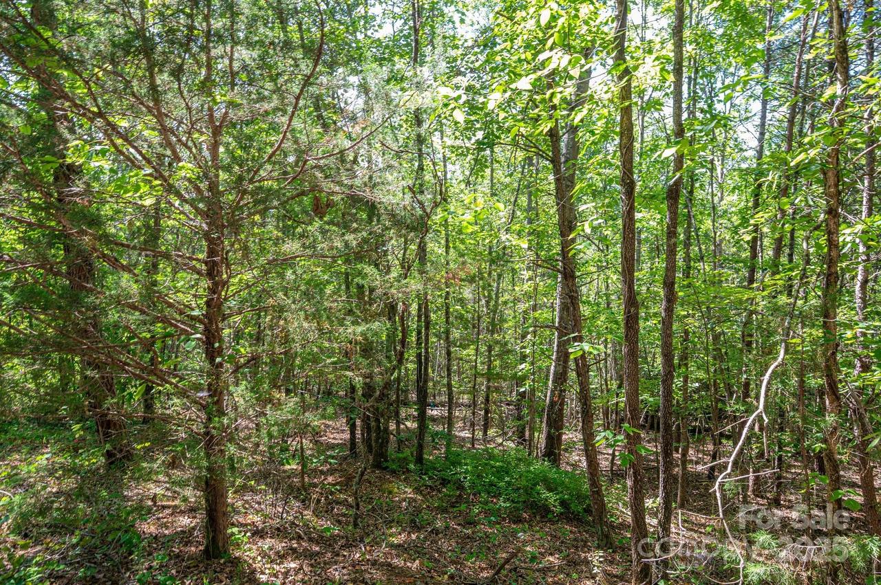 Lot #14 Meadow Crossing Dr., Rutherfordton, NC 28139