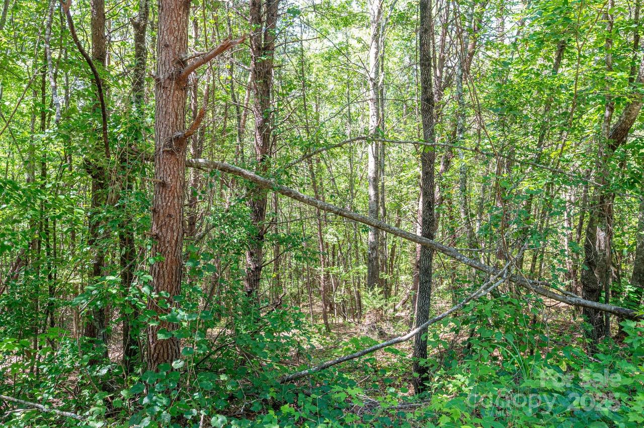 Lot #13 Meadow Crossing Dr., Rutherfordton, NC 28139