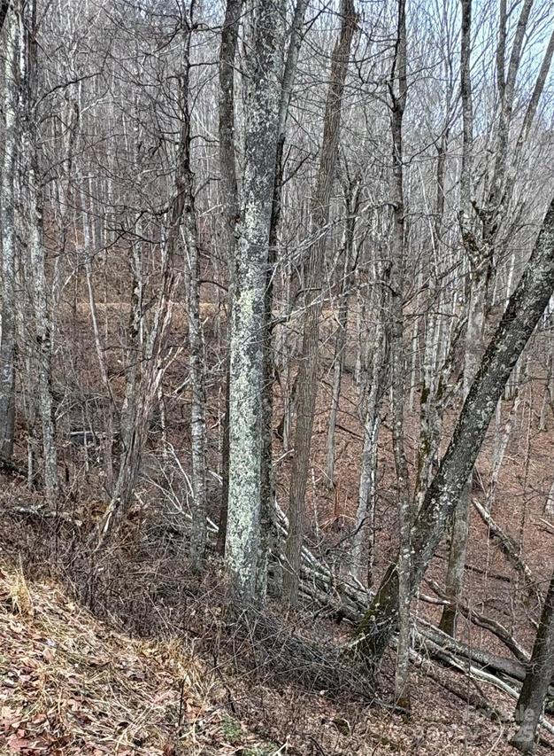 00 Spring Brook Dr. #314, Mars Hill, NC 28754