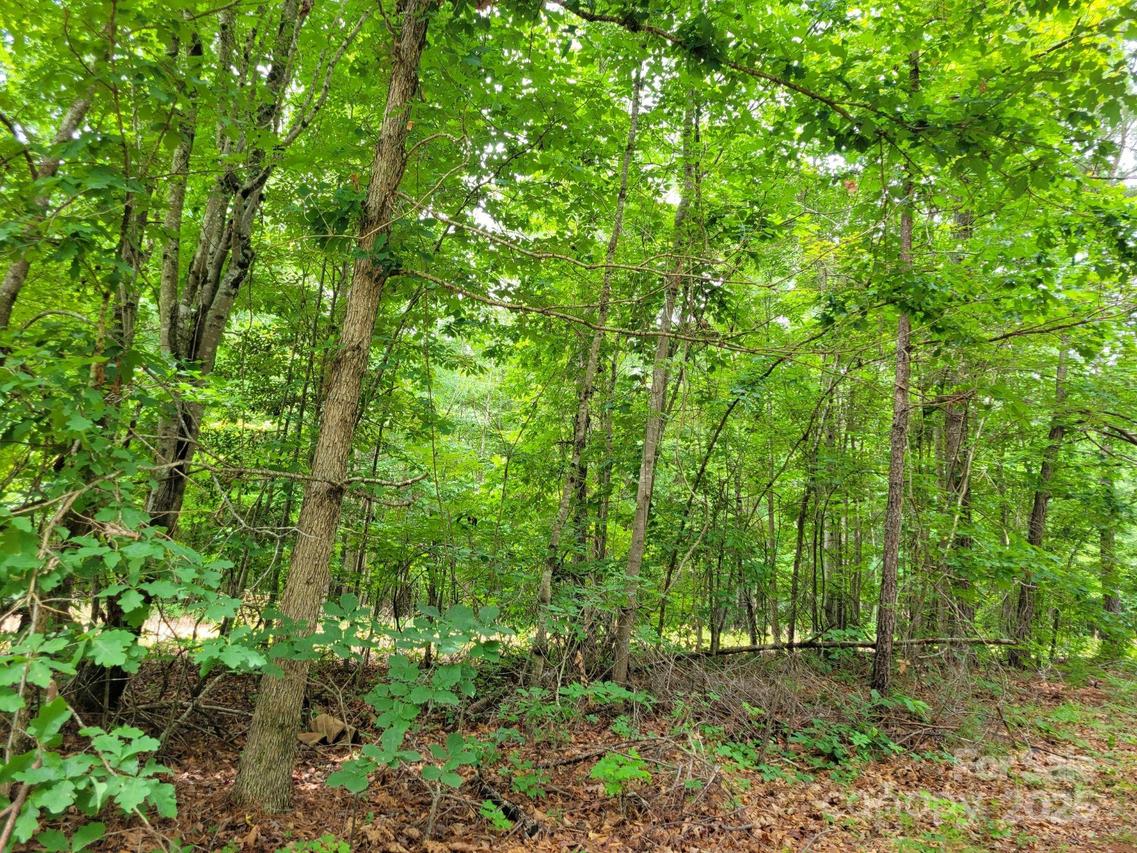 00 Dairy Rd., Troy, NC 27371