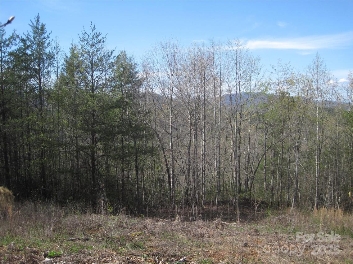 99999 Fairfield Ln., Marion, NC 28752