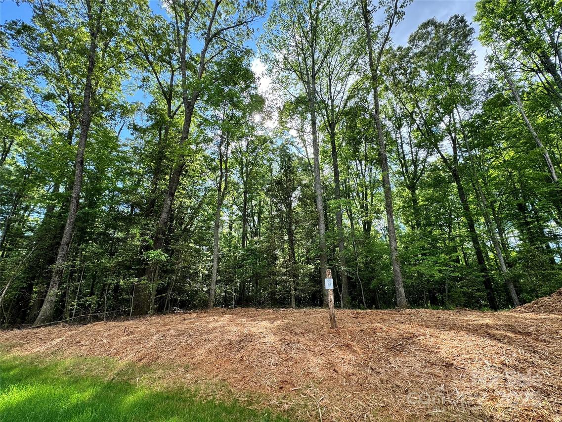 000 Reserve Way #13, Hendersonville, NC 28739