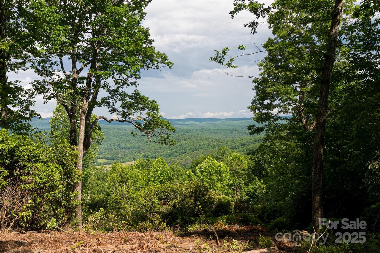 99999 Reserve Rd., Pisgah Forest, NC 28768