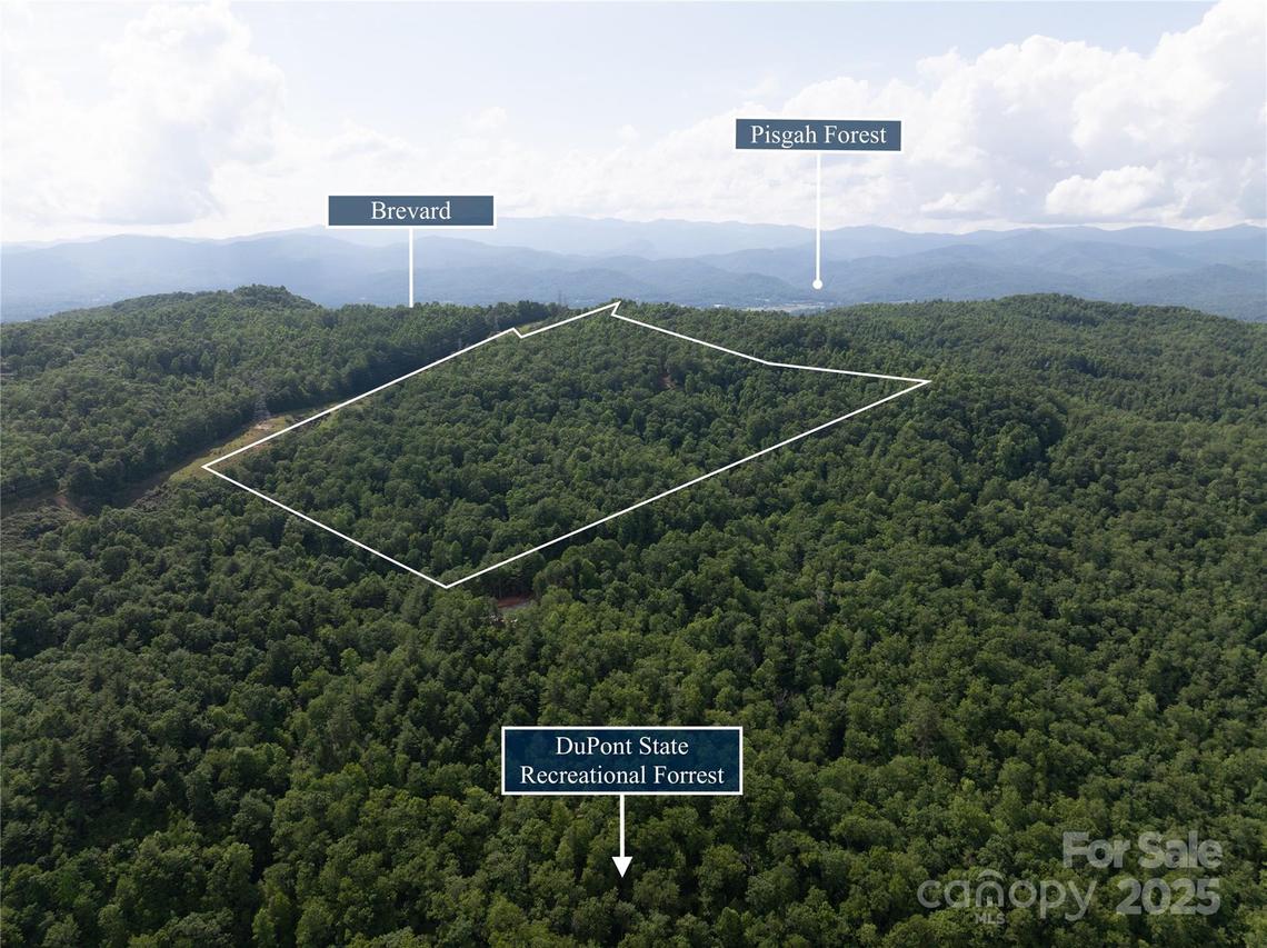 99999 Reserve Rd., Pisgah Forest, NC 28768