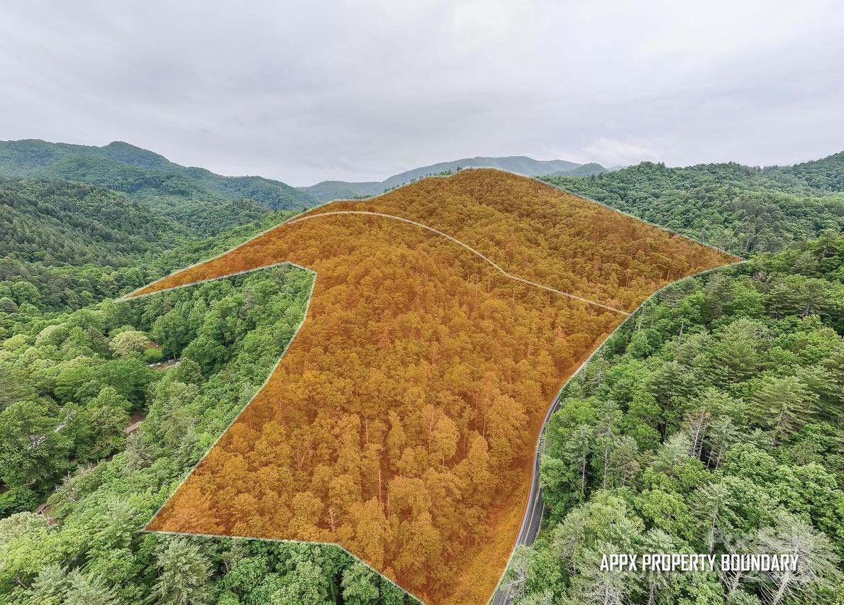 399 Shell Stand Rd., Almond, NC 28702