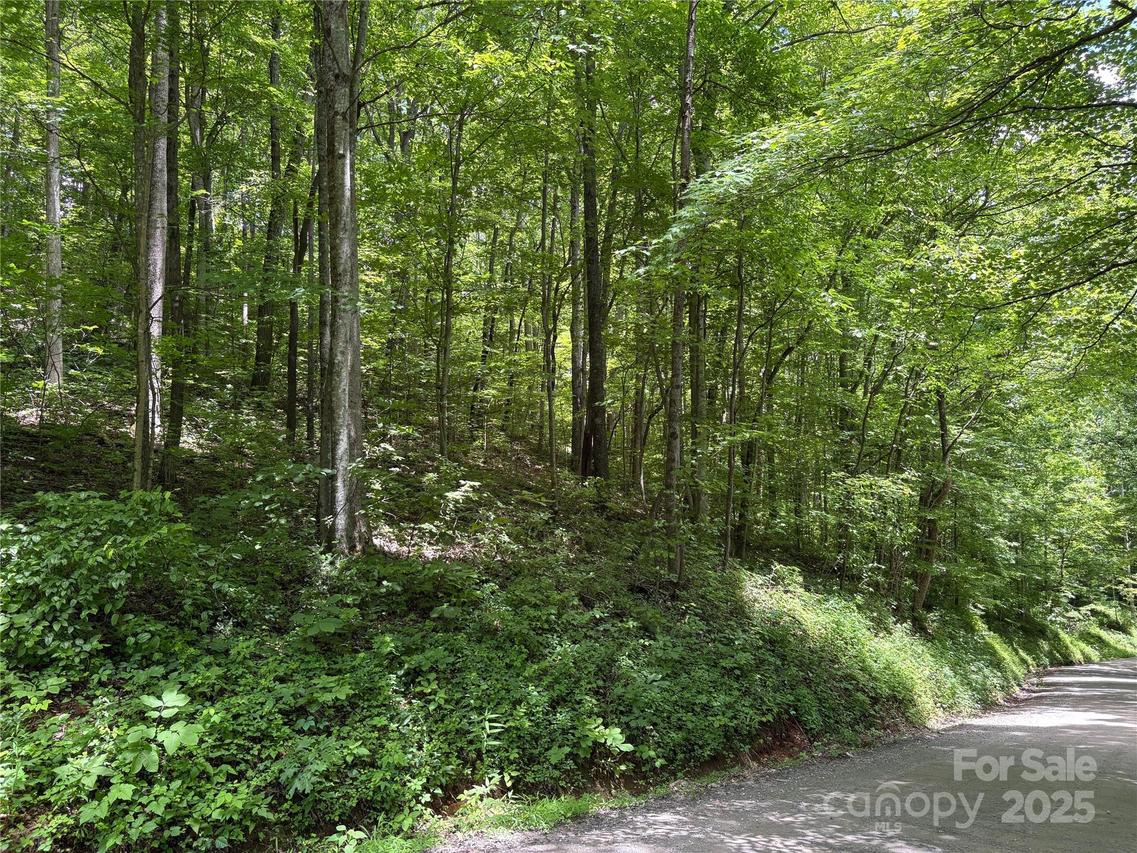 TBD Upward Way #236 & 237, Waynesville, NC 28785