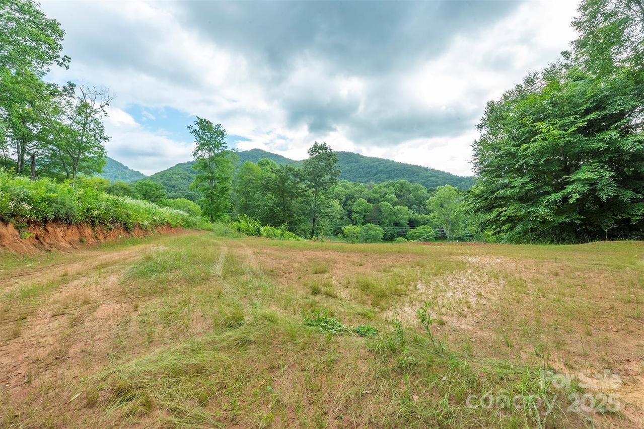 1433 Crabtree Mountain Rd., Clyde, NC 28721