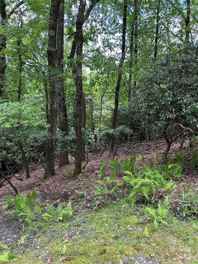 TBD Connestee Tr. #UO2/L406, Brevard, NC 28712