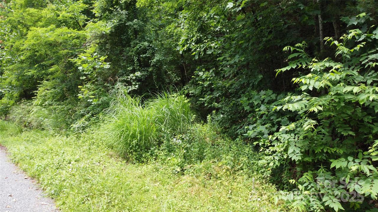 830 Cove Creek Ln., Weaverville, NC 28787